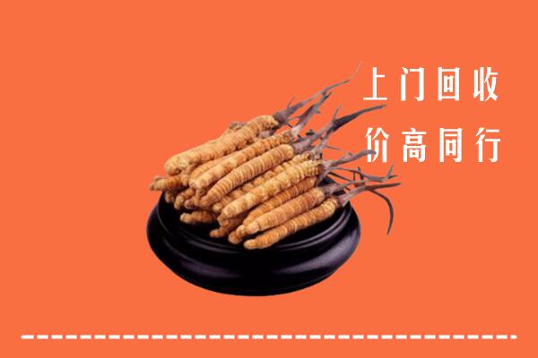 高价求购：日照市东港区回收散虫草