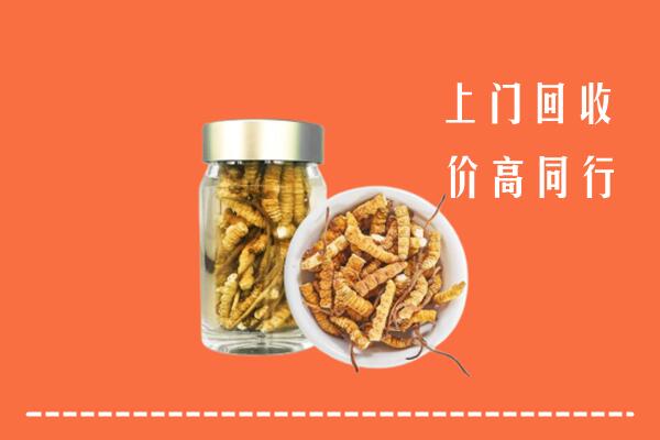 日照市东港区回收冬虫夏草