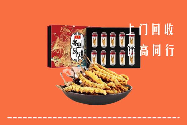 日照市东港区回收虫草